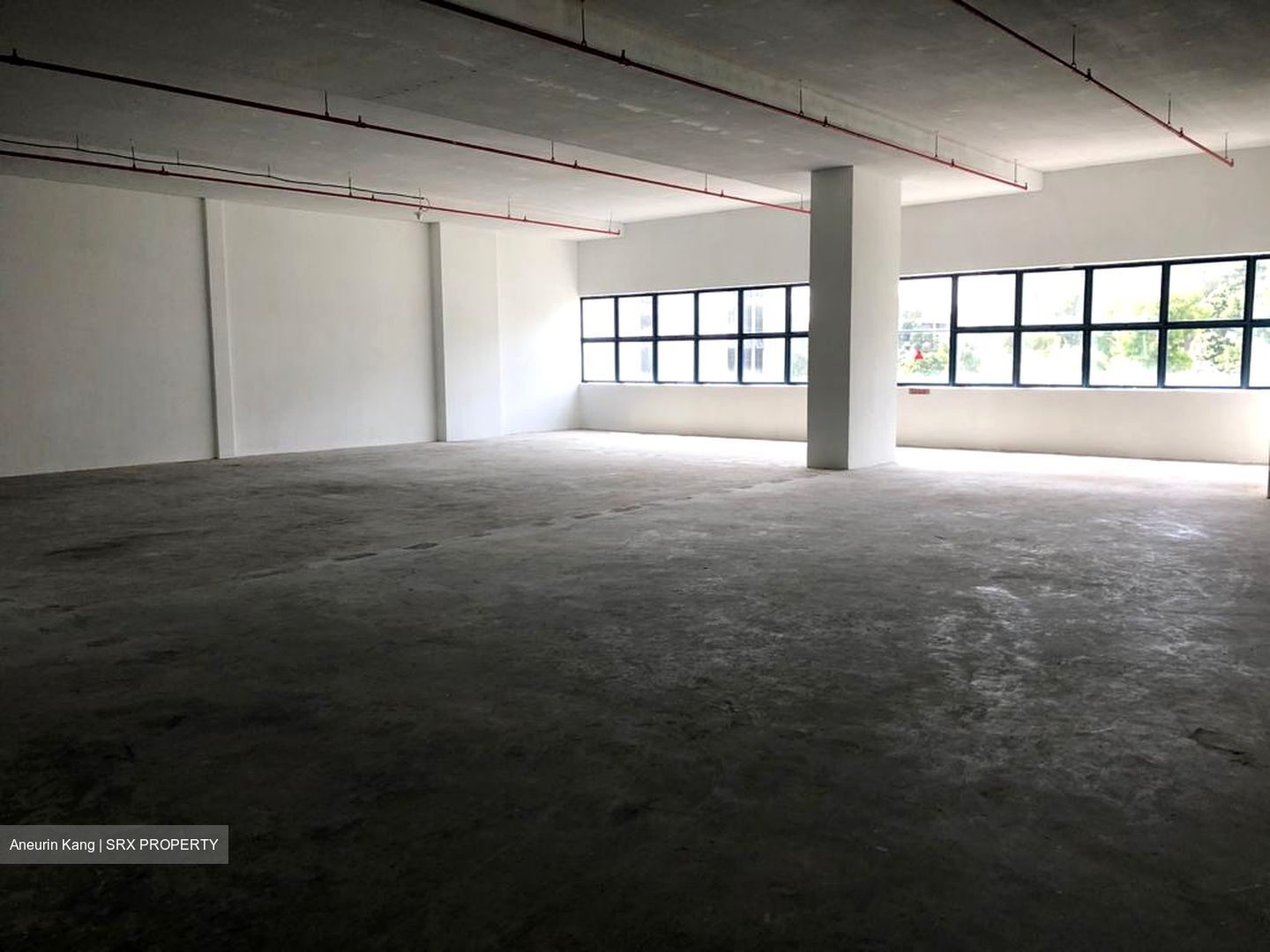 Loyang Industrial Estate (D17), Factory #552552621